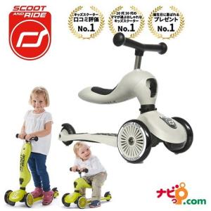 スクートアンドライド ハイウェイキック1 SCOOT AND RIDE Highway Kick1 アッシュ 157059 スクート&ライド｜navi-p-com-online