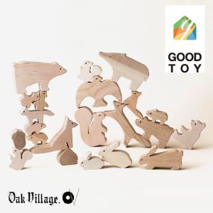 PLANTOYS プラントイズ　ウォーターブロック PLANTOYS（プラントイ） ウォーターブロック PLANTOYS 積み木