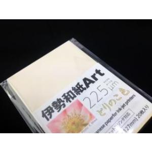 大豊和紙 伊勢和紙 Art とりのこ色 225μm サイズL（一袋単色20枚入り） kt225L 【...