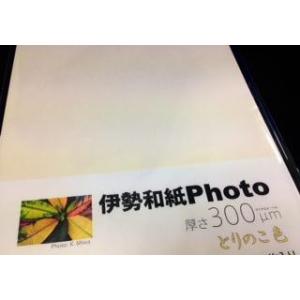 大豊和紙 伊勢和紙 Photo とりのこ色 300μm はがきサイズ（一袋単色20枚入り） kt30...