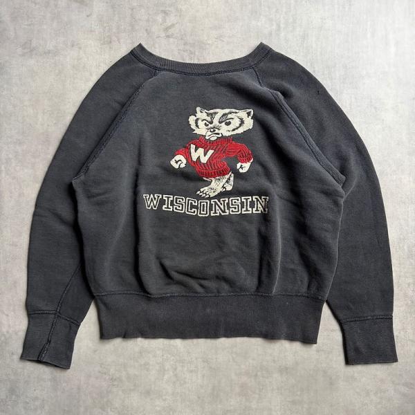 60's WISCONSIN UNIVERSITY Color Flocked Print Ragl...