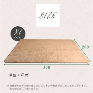 ラグ ラグマット カーペット おしゃれ 北欧 ...の詳細画像1