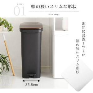 ゴミ箱 おしゃれ ごみ箱 ダストボックス スリ...の詳細画像4