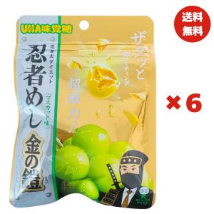 UHA味覚糖 忍者めし 鉄の鎧 グレープ味 40g×6個 : フロー商店