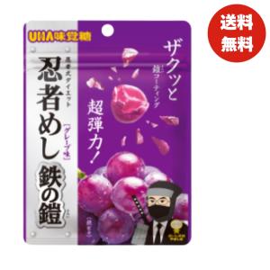 UHA味覚糖 忍者めし 鉄の鎧 マスカット味 40g ハード食感 グミ