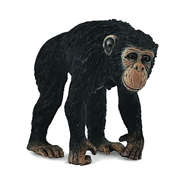 コレクタ　チンパンジー　メス　動物　フィギュア　88493