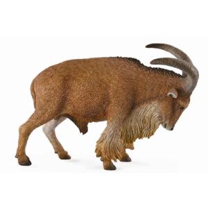 コレクタ CollectA バーバリーシープ 動物 フィギュア 88683