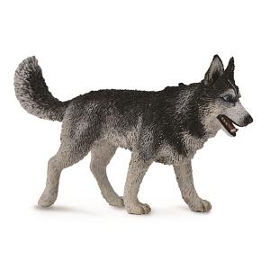 コレクタ シベリアンハスキー 犬 フィギュア 707 最安値 価格比較 Yahoo ショッピング 口コミ 評判からも探せる