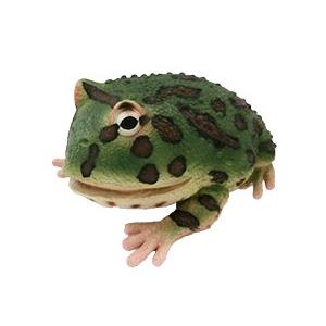ラテックス　ベルツノガエル　カエル　ぬいぐるみ