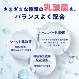 【生きた乳酸菌 酪酸菌 配合】 ビフィラル 乳...の詳細画像5