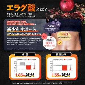 【機能性表示食品】カロバーンEX 30日分 ダ...の詳細画像4