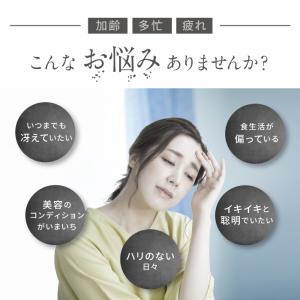 【高濃度100%還元型コエンザイムQ10】ピュ...の詳細画像2