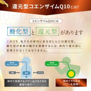 【高濃度100%還元型コエンザイムQ10】ピュ...の詳細画像4