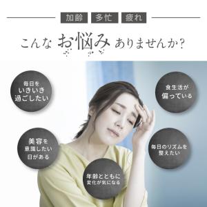 【5のつく日だけの限定価格!】 【高濃度100...の詳細画像4