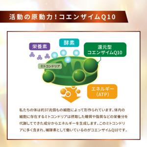 【高濃度100%還元型コエンザイムQ10】ピュ...の詳細画像5