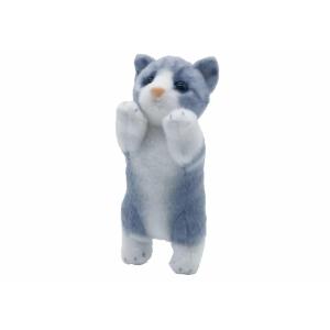 たっちぃZoo マンチカンシルバー にゃんこ マンチカン まんちかん