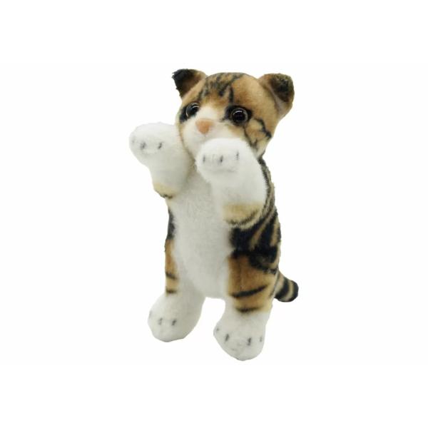 たっちぃZoo mini にゃんこ スコティッシュフォールド キーチェーン ZOO　定形外OK　株式...