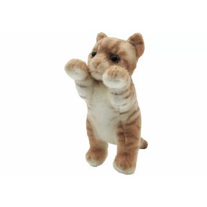 たっちぃZoo にゃんこ さばとら たっちぃZOO ニャンコ サバトラ 株式