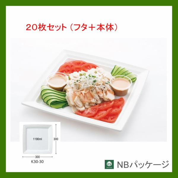 使い捨て容器　角皿　テイクアウト　ＣＴ沙楽Ｋ３０−３０(白)　本体・嵌合蓋セット　２０枚　「中央化学...