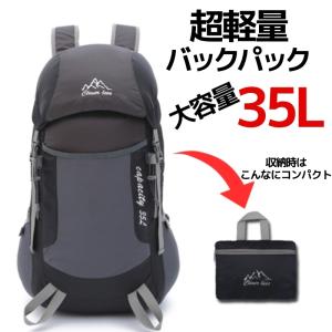 美品 BUMP OF CHICKEN バンプオブチキン Silver Jubilee Backpack