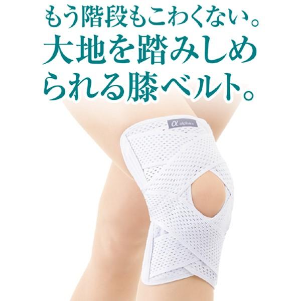 お医者さんのがっちり膝ベルト 膝サポーター 膝ベルト