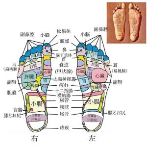 足ツボマット 足ツボ押し ダイエット 効果 足...の詳細画像2