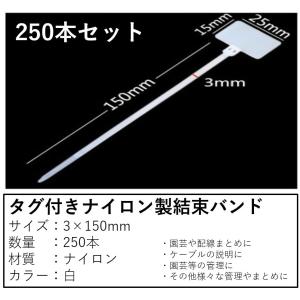 タグ付き結束バンド タイラップ インシュロック  ナイロン製 3×150mm 250本セット｜ndhci2014