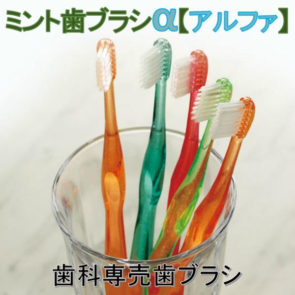 歯ブラシ　ミント歯ブラシアルファ　1本