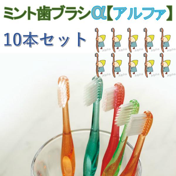 歯ブラシ　ミント歯ブラシアルファ　10本セット