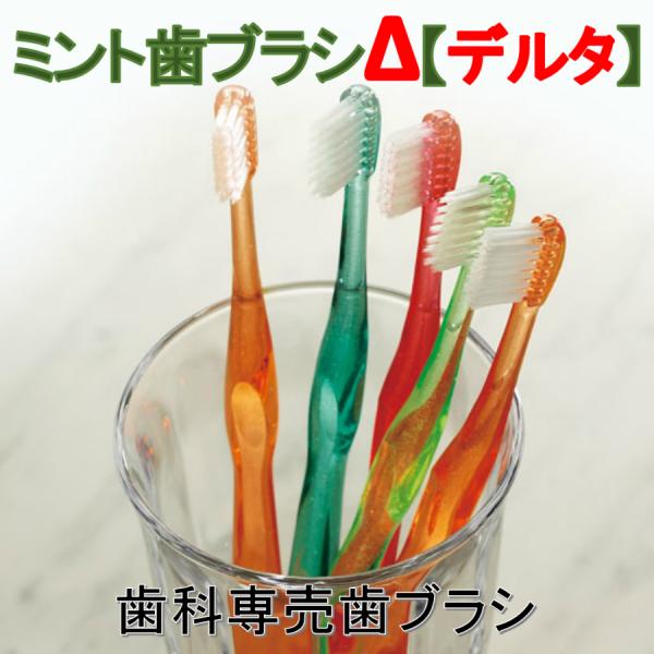 歯ブラシ　ミント歯ブラシデルタ　1本