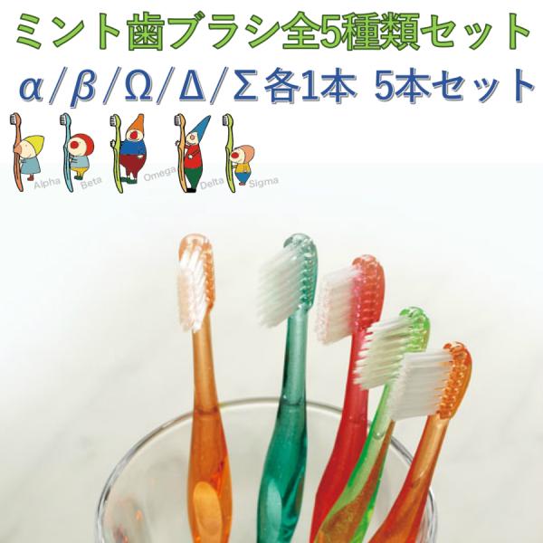 歯ブラシ　ミント歯ブラシ全５種類　お試しセット