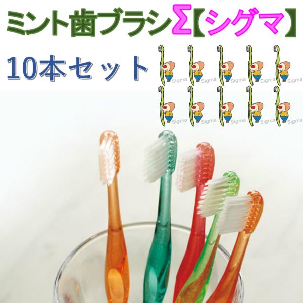 歯ブラシ　ミント歯ブラシシグマ　10本セット