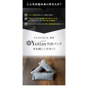 消臭部門1位獲得!! 【送料無料】 靴用 消臭...の詳細画像4