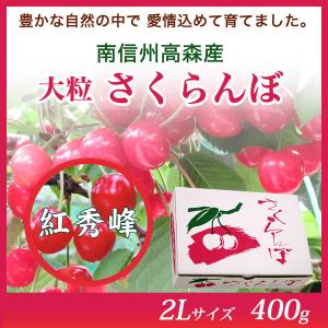 南信州高森産 さくらんぼ（紅秀峰）2Lサイズ 400ｇ