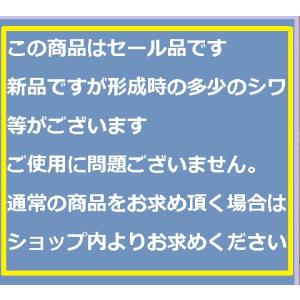 【ドア用セール品】ペットドア ペット扉 ねこ扉...の詳細画像2