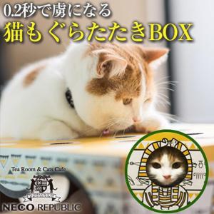 猫 おもちゃ 公式猫もぐらたたきBOX anan掲載 猫 おもちゃ ネコ ペットグッズ 猫用品 林先生の初耳学