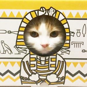 猫 おもちゃ 公式猫もぐらたたきBOX ana...の詳細画像1