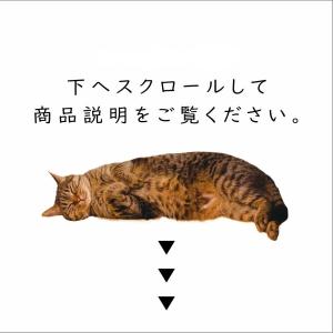 猫 おもちゃ 公式猫もぐらたたきBOX ana...の詳細画像4