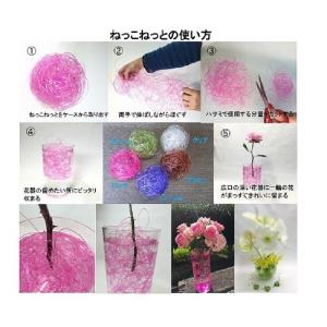 ねっこねっと(ハート大1ヶ、小10ヶ付)花器は...の詳細画像1