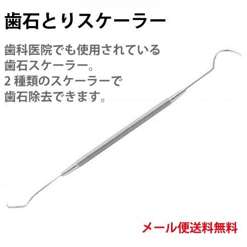 歯 ホワイトニング セルフ 自宅 歯石とり ヤニとり スケーラー  自宅で簡単 ステンレス製 送料無...