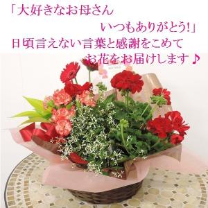 母の日 限定 カーネーション 季節の花 春 寄せ鉢 人気 おまかせ アレンジ ギフト 鉢花 鉢植え 寄せ植え バスケット プレゼント A0061 花 ル パルテール Yahoo ショップ 通販 Yahoo ショッピング