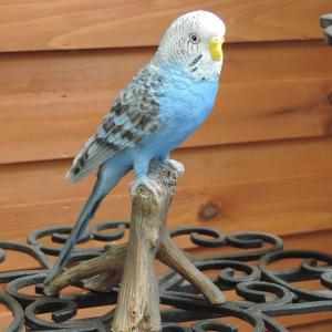 セキセイインコ（小）青　ギフトに ラッピング無料 ガーデン　オーナメント　置物　カワイイ　小鳥　オブジェ　N143インテリア　雑貨　癒し　飾り｜needsland