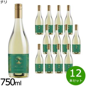 フォルトゥナート ヴィノ フリッツァンテ ブラン...の商品画像