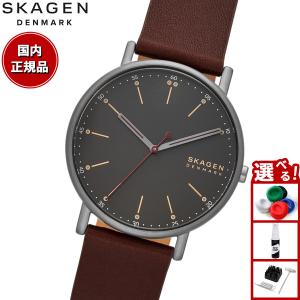 SKAGEN（スカーゲン） 腕時計 メンズ MELLEM 三針 グレー ステンレス