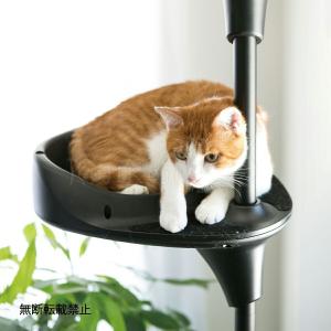 OPPO オッポ キャットタワー 突っ張り ス...の詳細画像4