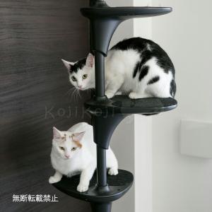 OPPO オッポ キャットタワー 突っ張り ス...の詳細画像5