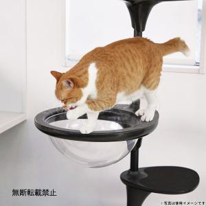 (プレゼント付き)OPPO オッポ キャットフ...の詳細画像5