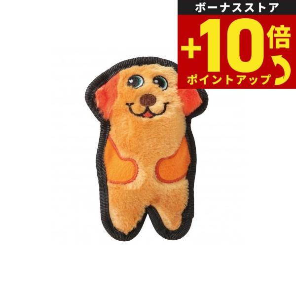 アウトワードハウンド インビンシブルズ ミニ ドッグ