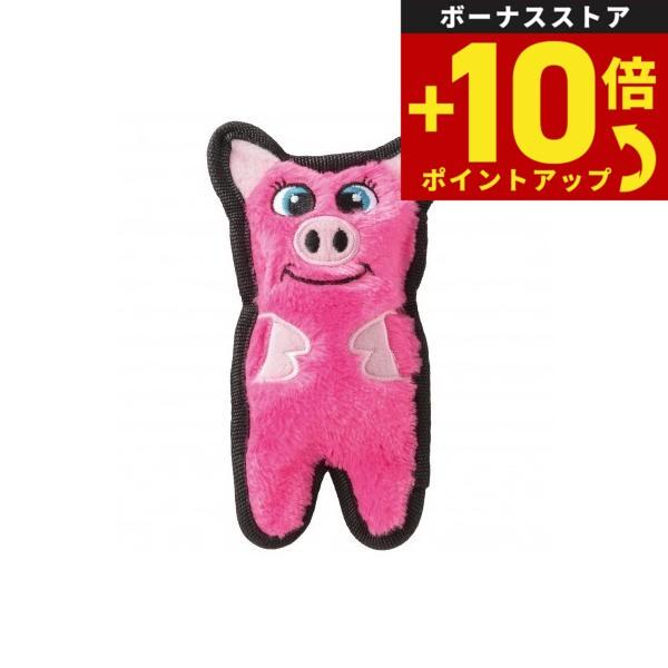 アウトワードハウンド インビンシブルズ ミニ ピッグ