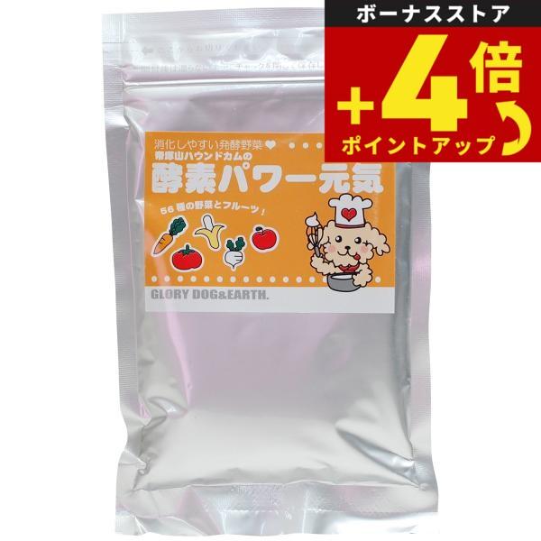 グローリードッグ＆アース 酵素野菜パウダー 酵素パワー元気 100g 犬 低リン 猫 発酵食品 手作...